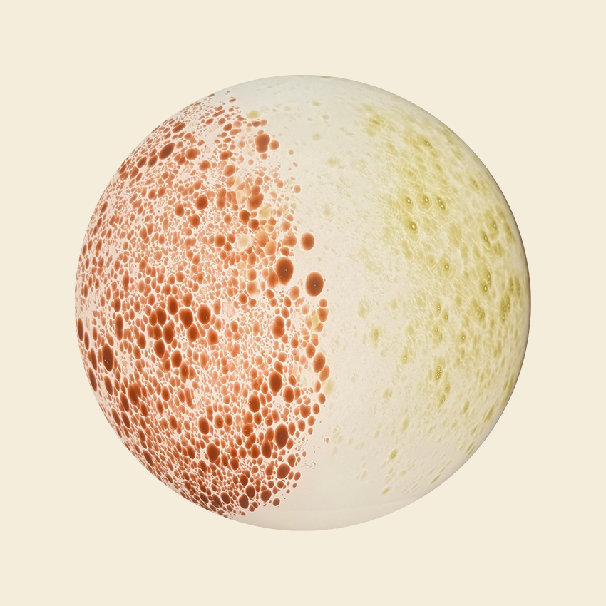 38 White & Peach & Yellow